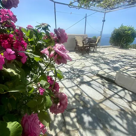 Margarita House 1